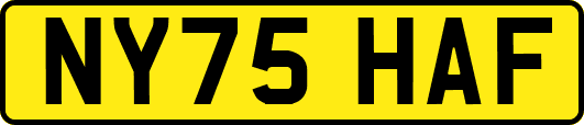 NY75HAF