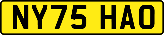NY75HAO