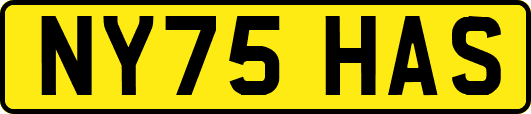 NY75HAS