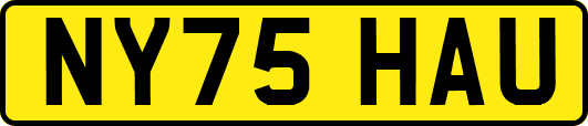 NY75HAU