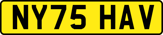 NY75HAV
