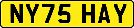 NY75HAY