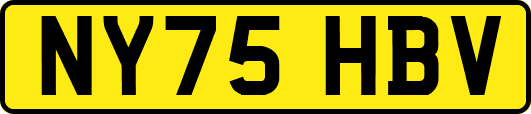NY75HBV