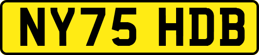NY75HDB