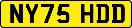 NY75HDD