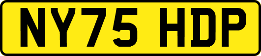 NY75HDP