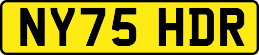 NY75HDR