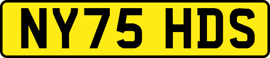 NY75HDS