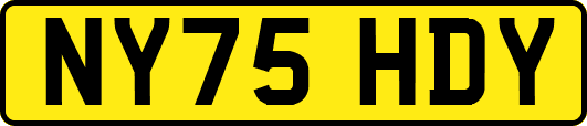 NY75HDY