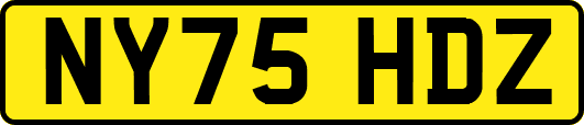 NY75HDZ