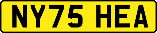 NY75HEA