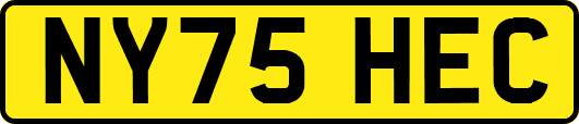 NY75HEC