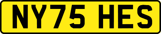NY75HES