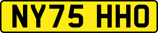 NY75HHO