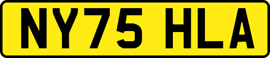NY75HLA