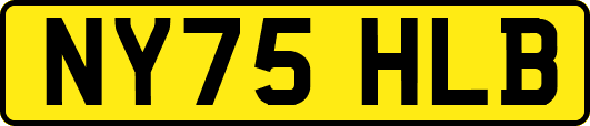 NY75HLB