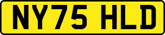 NY75HLD