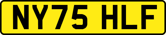 NY75HLF