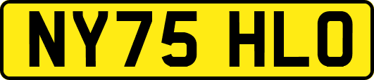 NY75HLO