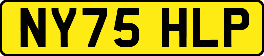 NY75HLP