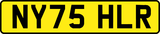 NY75HLR