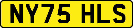 NY75HLS