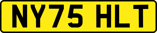 NY75HLT