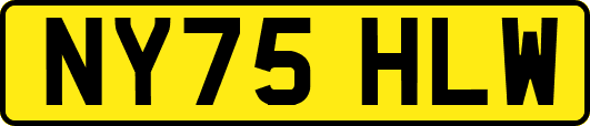 NY75HLW
