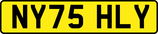 NY75HLY