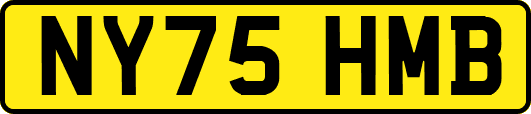 NY75HMB