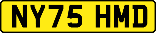 NY75HMD