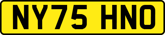 NY75HNO