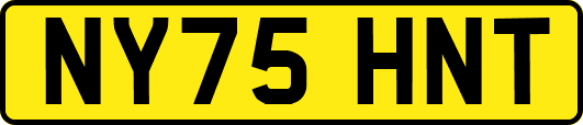NY75HNT