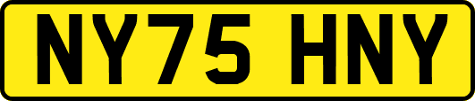 NY75HNY