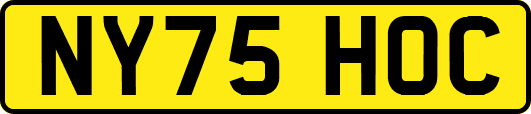 NY75HOC
