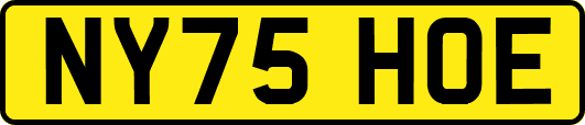 NY75HOE