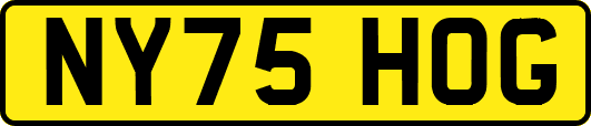 NY75HOG