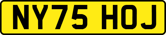 NY75HOJ