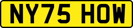 NY75HOW