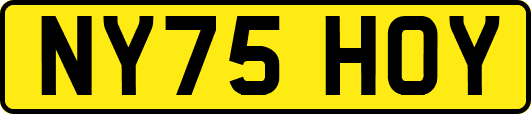 NY75HOY