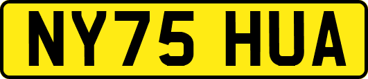 NY75HUA
