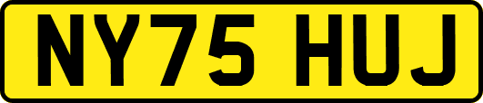NY75HUJ