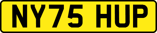NY75HUP