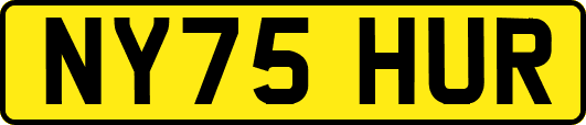 NY75HUR