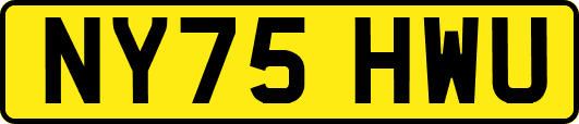 NY75HWU