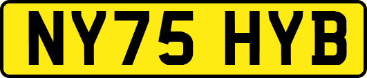 NY75HYB