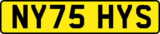 NY75HYS
