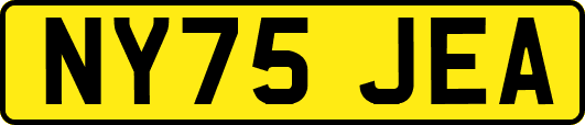 NY75JEA