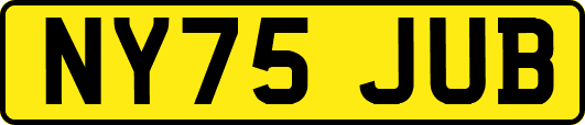 NY75JUB