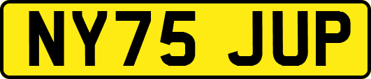 NY75JUP